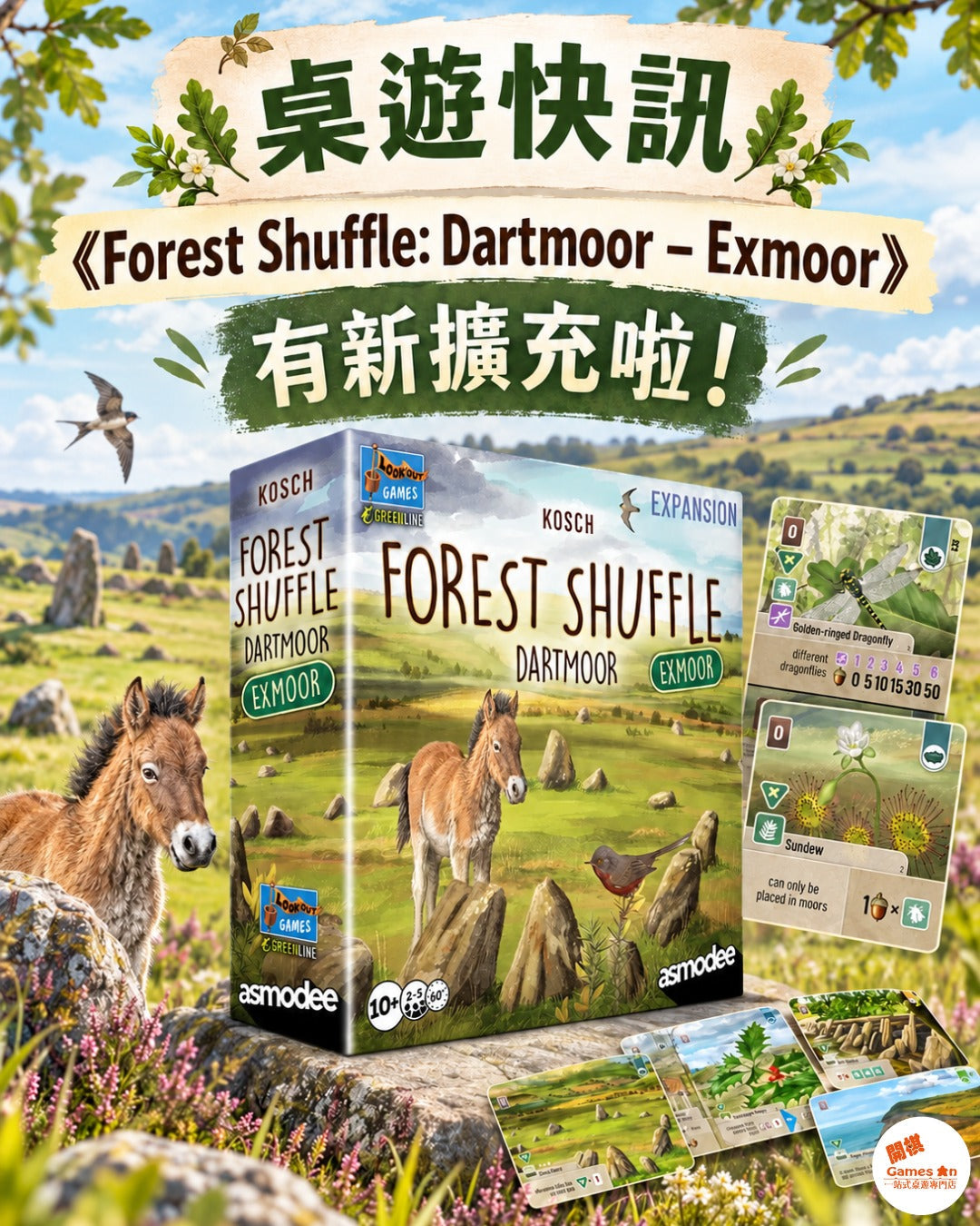 🌿《Forest Shuffle: Dartmoor – Exmoor》有新擴充啦！🦌🌊
